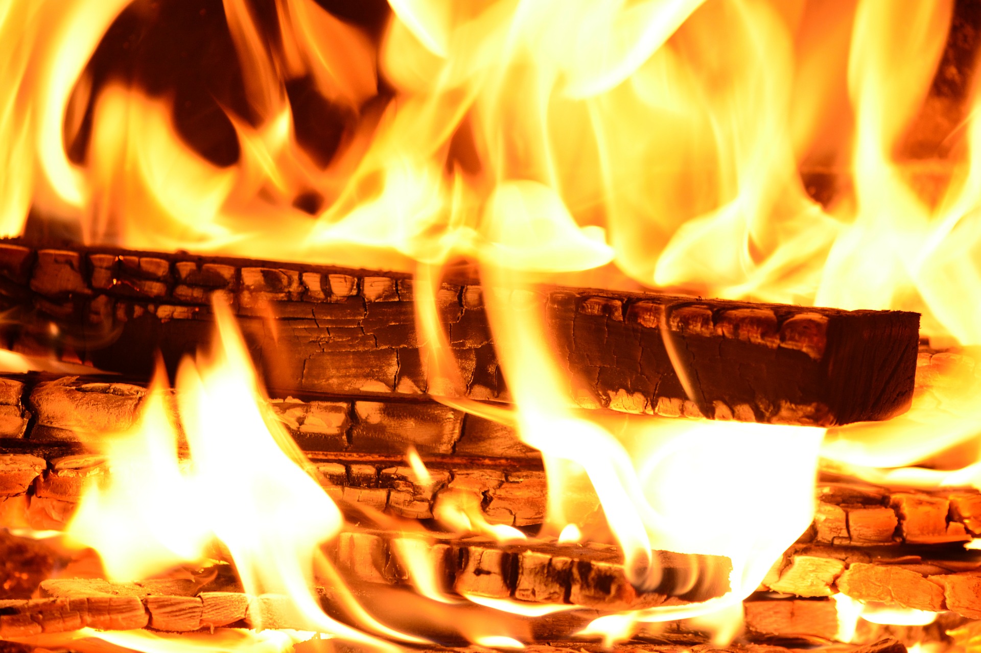 Firewood