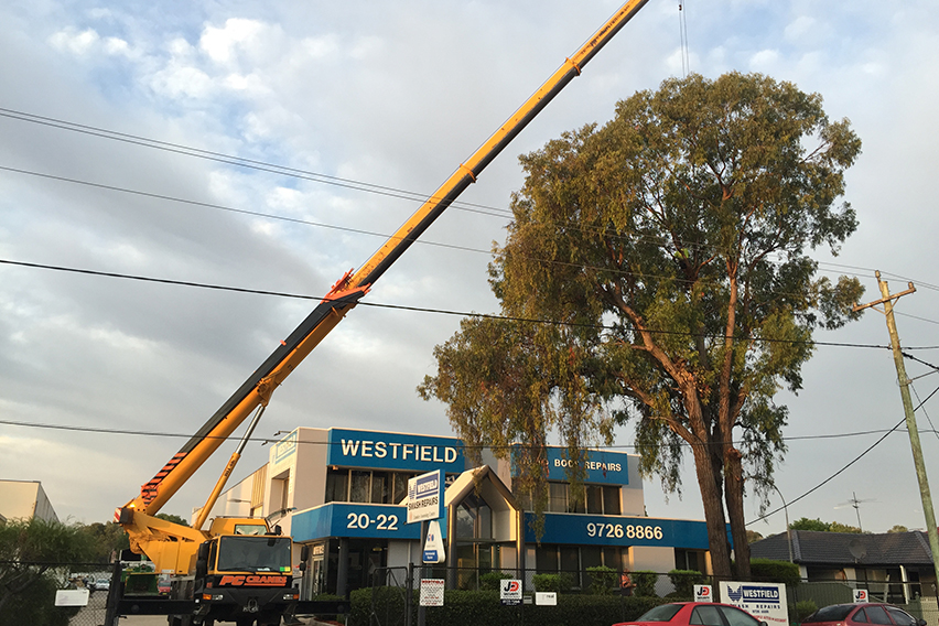 emergency work tangerine st fairfield 2