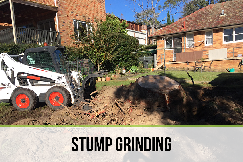 stump grinding