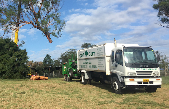 Tree removal Epping