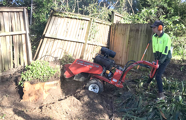 Stump grinding