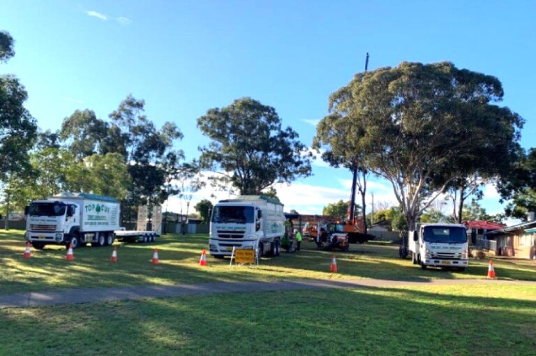 About Us Top Cut Tree Services