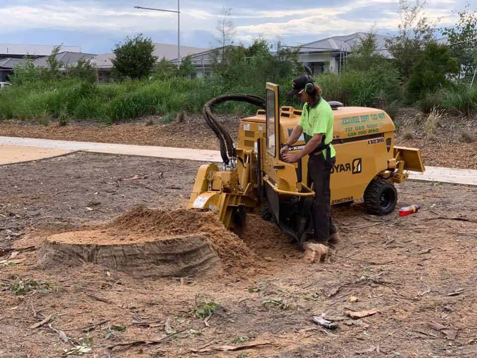 Gallery Top Cut Tree Services