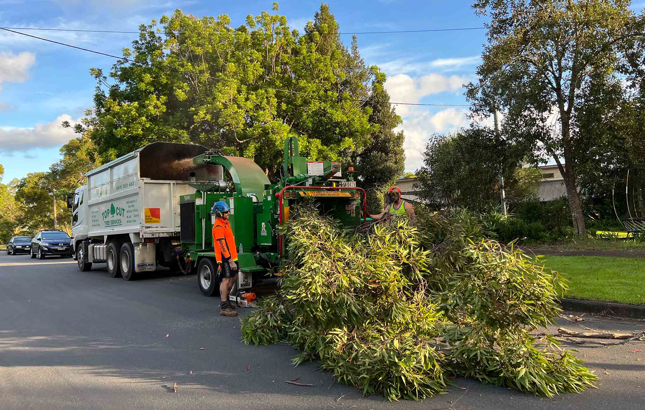 Tree Removal in Penrith NSW